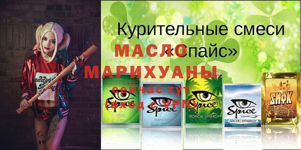 индика Балахна