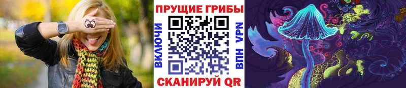 купить   Белоярский  Псилоцибиновые грибы MAGIC MUSHROOMS 